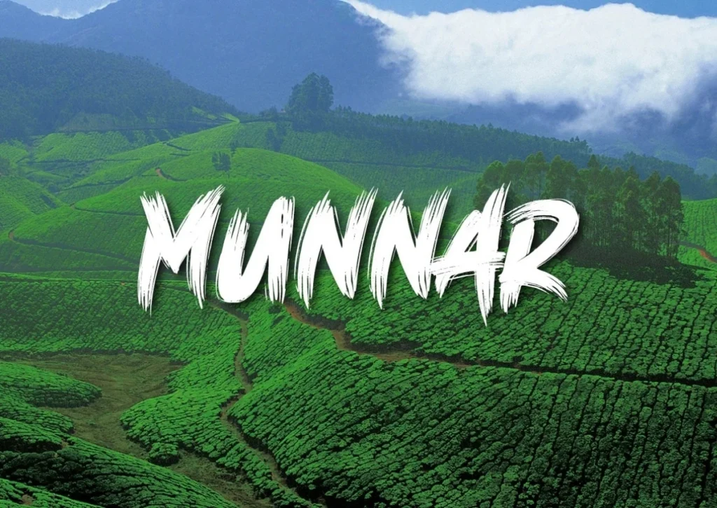Munnar: An Emerald Embrace Where Time Breathes Slowly