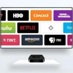 The Rise of the Vernacular Empire: How Regional OTT Content is Stealing the Global Spotlight
