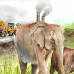 Is Knowing Your Local Flora and Fauna a dying art in Urban India?