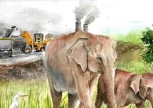 Is Knowing Your Local Flora and Fauna a dying art in Urban India?