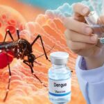 India’s First Dengue Vaccine: A Turning Point
