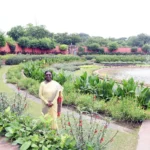 Amrit Udyan Summer Annuals Edition Opens to Public from August 16